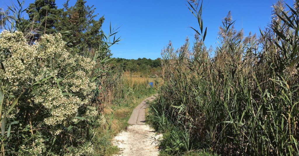 Cape Cod Museum of Natural History | Brewster, MA