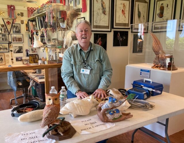 Stephen Cod Welcome | Cape Cod Museum of Natural History