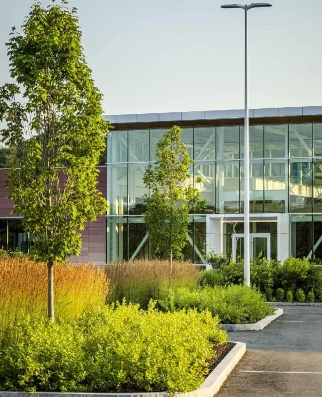 Commercial development