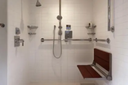Aipshower 300x277