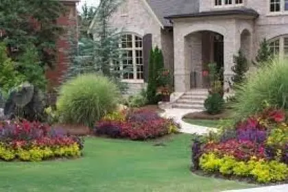 Front yard
