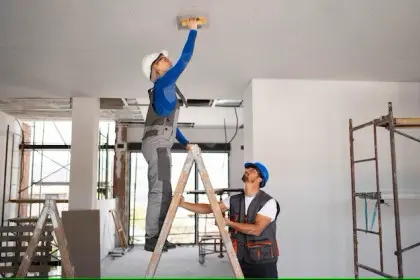 Renovation pic
