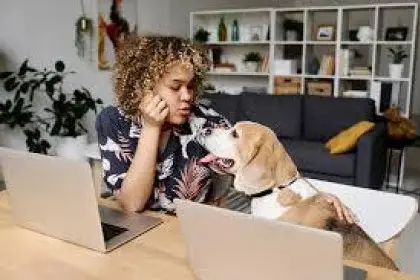 Pet friendly