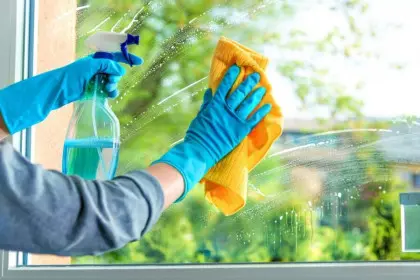 Window cleaning home 900x600