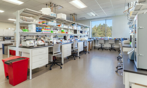 Endicott judge01 copy