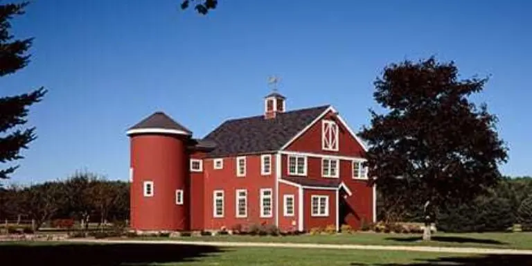 Tree Farm Dan Walsh 1 Landing Page Horiz 2022 12 16 125214 llsg