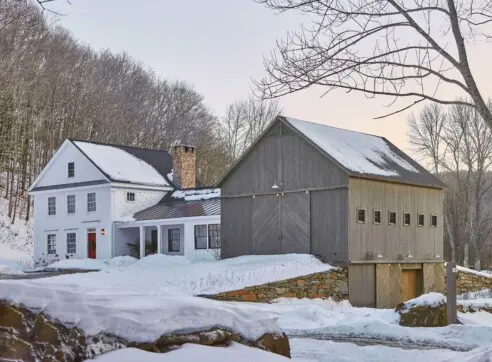 Wild Apple Hero Ext18 2022 12 16 122702 yfew