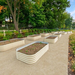 Briscoe Garden 2025 03 06 121624 dqjt