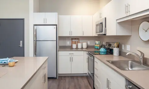 Link480 Hero Int02 copy