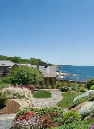 SV Design Shore Cliff tall2 2022 12 16 125109 dark