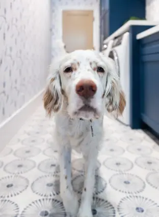 Rothrock 03 07 25 158 2025 04 15 022632 jjkw