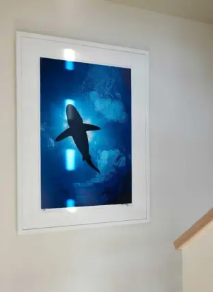 House on the Bluff Tall Interior Stairs Art Whale Shark Architecture Modern Contemporary 2022 12 16 124507 egwp