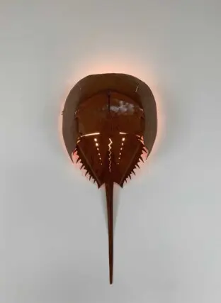 House on the Bluff Tall Interior Design Sconce Horseshoe Crab Frying Pan Cape Cod Interior Design Architecture Modern Contemporary 2022 12 16 124508 fxjh