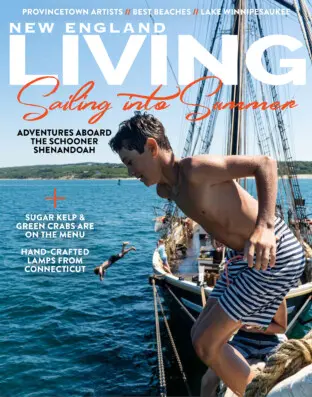 Cover NEL23 S website